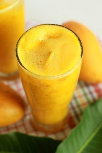 fruit shake recipes pdf