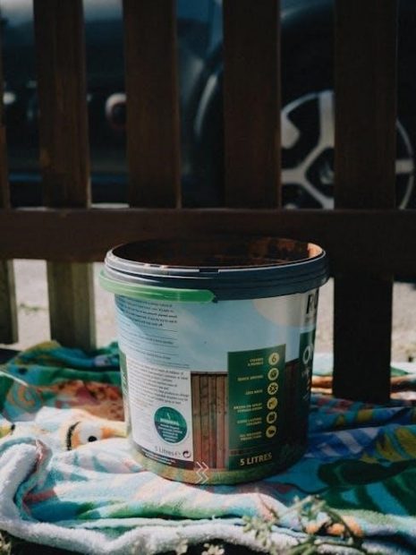 dsm 5 pdf français gratuit